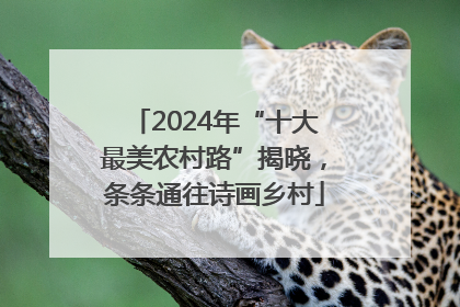 2024年“十大最美农村路”揭晓，条条通往诗画乡村