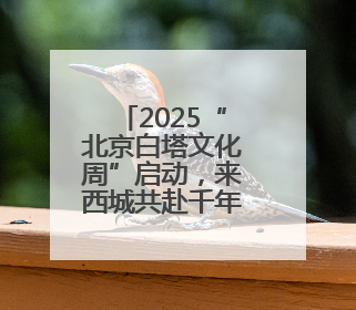 2025“北京白塔文化周”启动，来西城共赴千年之约