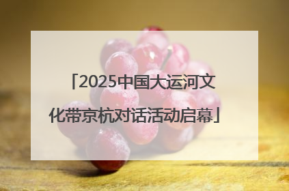 2025中国大运河文化带京杭对话活动启幕