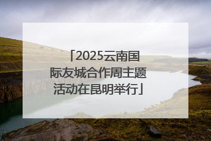 2025云南国际友城合作周主题活动在昆明举行