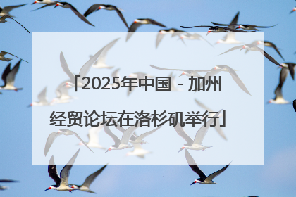 2025年中国－加州经贸论坛在洛杉矶举行