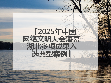 2025年中国网络文明大会落幕 湖北多项成果入选典型案例