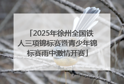 2025年徐州全国铁人三项锦标赛暨青少年锦标赛雨中激情开赛