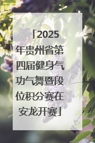 2025年贵州省第四届健身气功气舞暨段位积分赛在安龙开赛