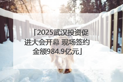 2025武汉投资促进大会开幕 现场签约金额984.9亿元