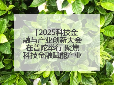 2025科技金融与产业创新大会在普陀举行 聚焦科技金融赋能产业升级之策
