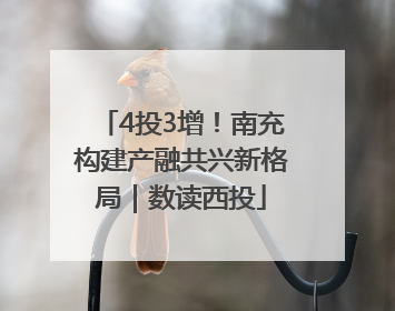 4投3增！南充构建产融共兴新格局｜数读西投