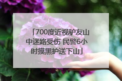 700度近视驴友山中迷路受伤 民警6小时摸黑护送下山