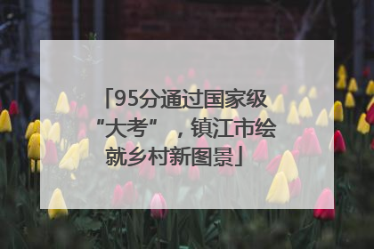 95分通过国家级“大考”，镇江市绘就乡村新图景