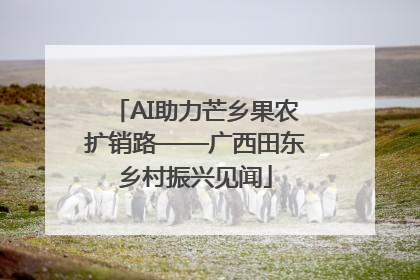 AI助力芒乡果农扩销路——广西田东乡村振兴见闻