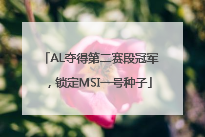 AL夺得第二赛段冠军，锁定MSI一号种子