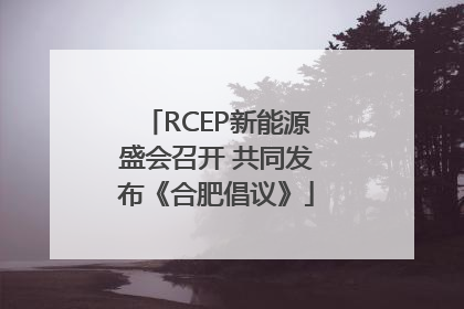 RCEP新能源盛会召开 共同发布《合肥倡议》