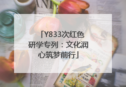Y833次红色研学专列：文化润心筑梦前行