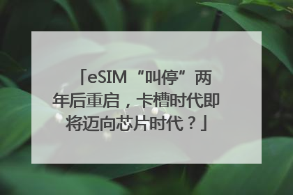 eSIM“叫停”两年后重启，卡槽时代即将迈向芯片时代？